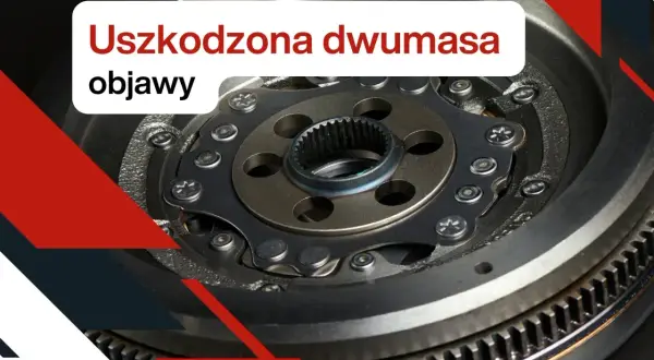 Zbliżenie na uszkodzoną dwumasę. Widoczne zębatki i elementy mechanizmu. Poznaj objawy awarii.