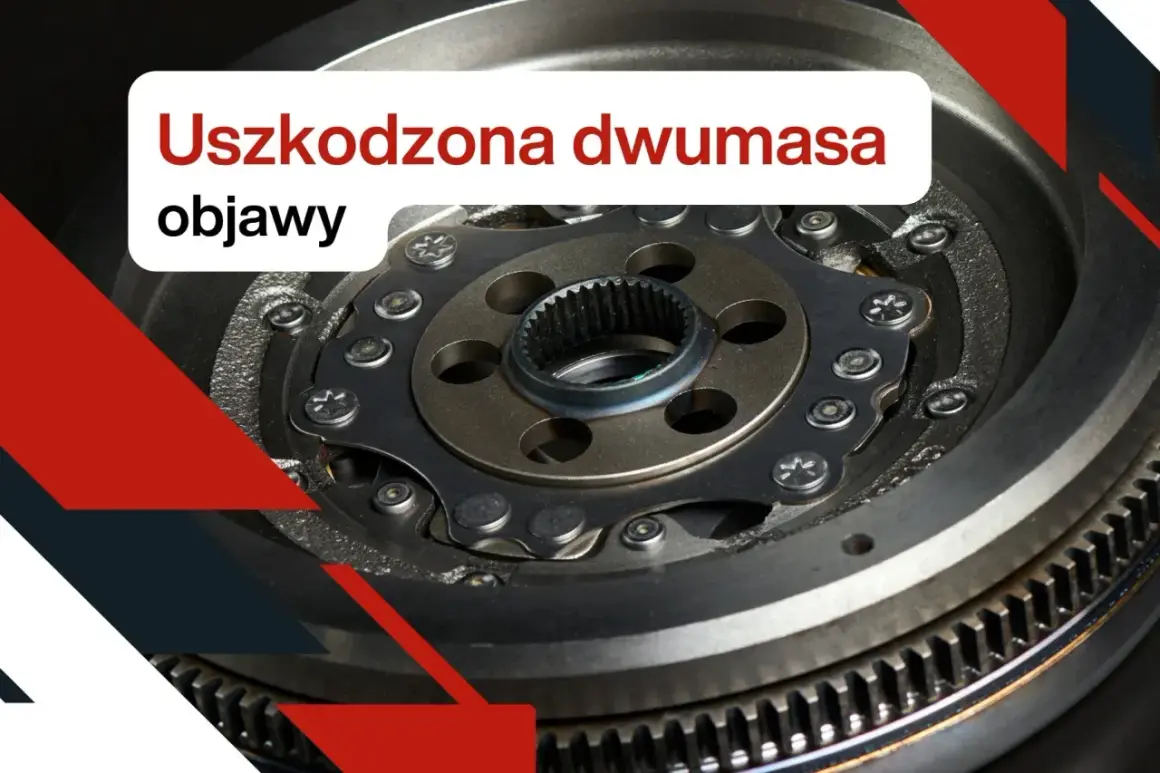 Zbliżenie na uszkodzoną dwumasę. Widoczne zębatki i elementy mechanizmu. Poznaj objawy awarii.