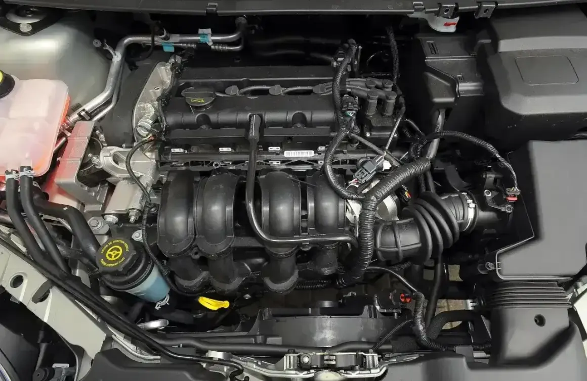 Silnik Ford Focus MK2 1.6 benzyna. Widoczne przewody, kolektor dolotowy i zbiornik płynu wspomagania.