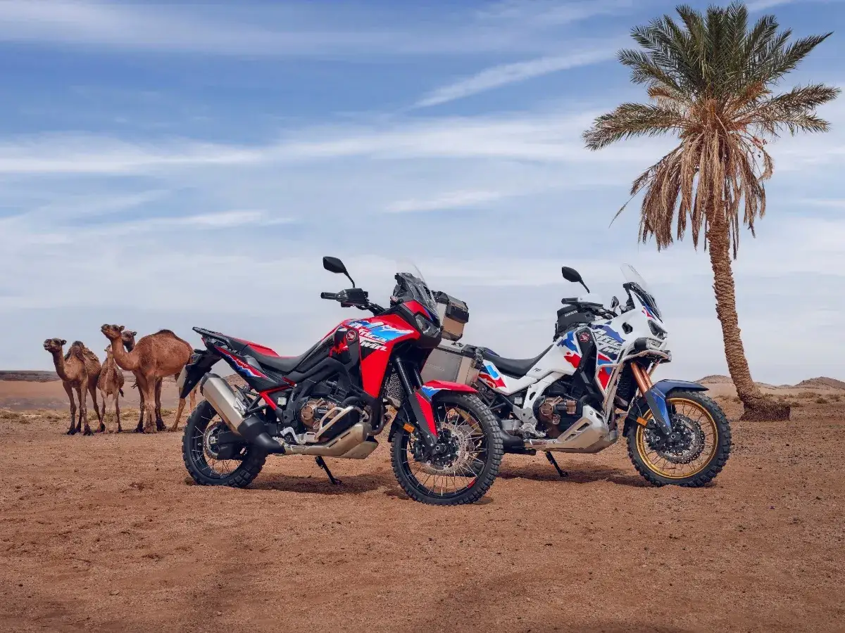 Dwie motocykle Honda Africa Twin w pustynnym krajobrazie, obok wielbłądów i palmy. Gotowe na przygodę!
